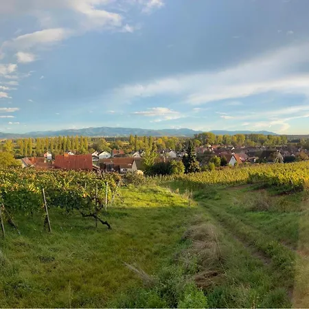Am Weinberg By Interhome