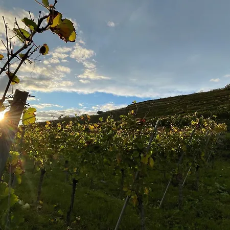 Am Weinberg By Interhome Lägenhet